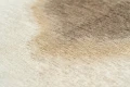 2089_AQUARELLE_NATURE_6.webp