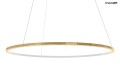 MOOSEE lampa wisząca RING SLIM 150 złota
