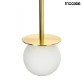 MOOSEE lampa wisząca CANNON DISC 50       złota