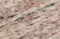 Mellow_Rose_closeup_800x.webp